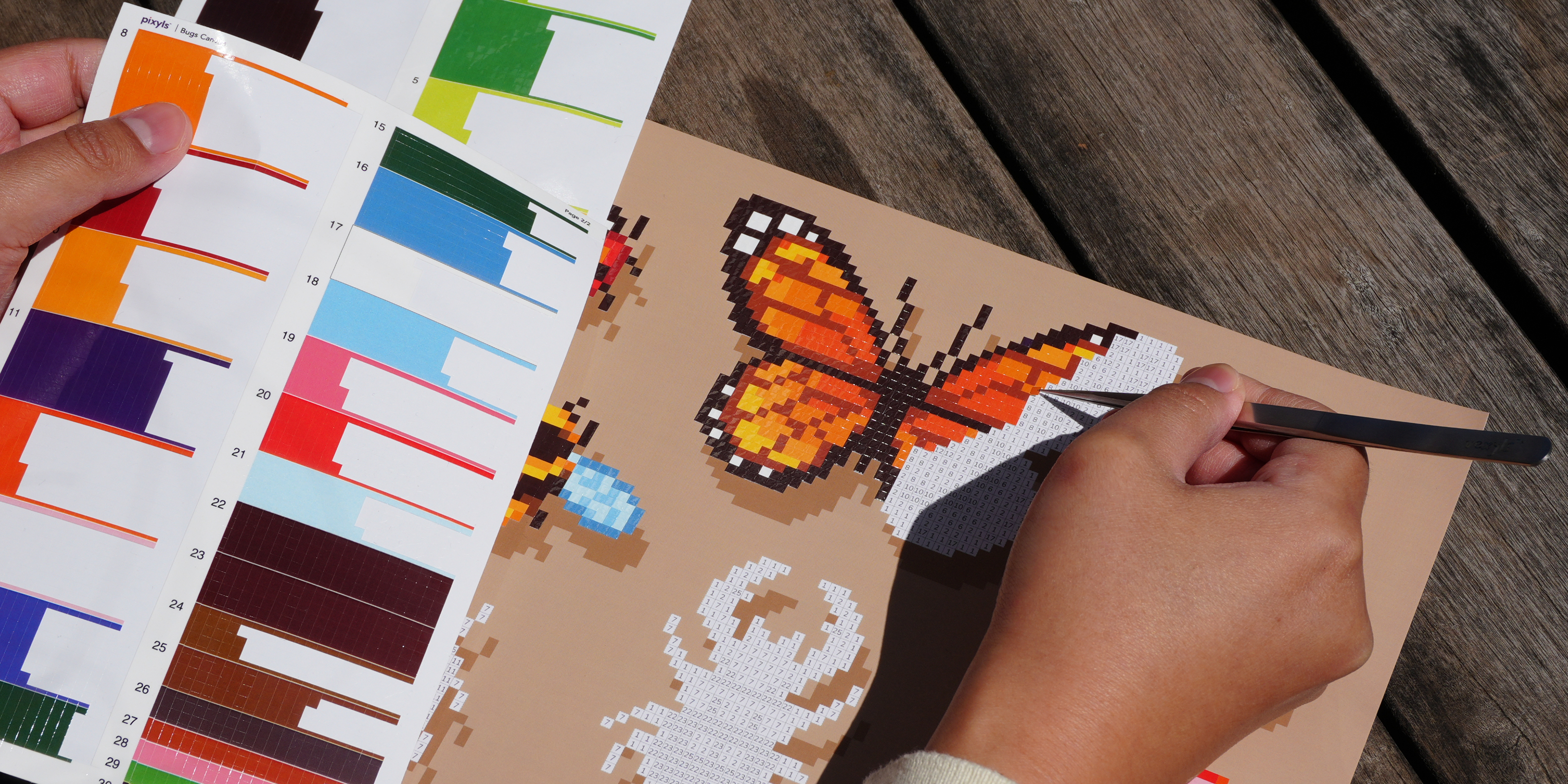Pixyls Canvases