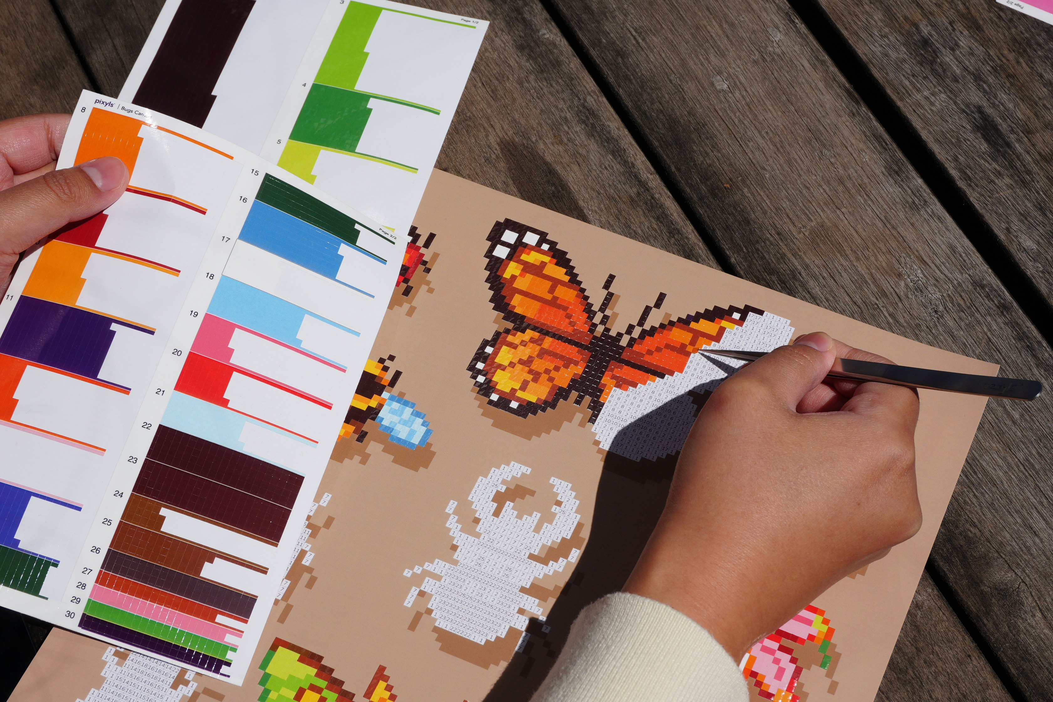 Pixyls Canvases