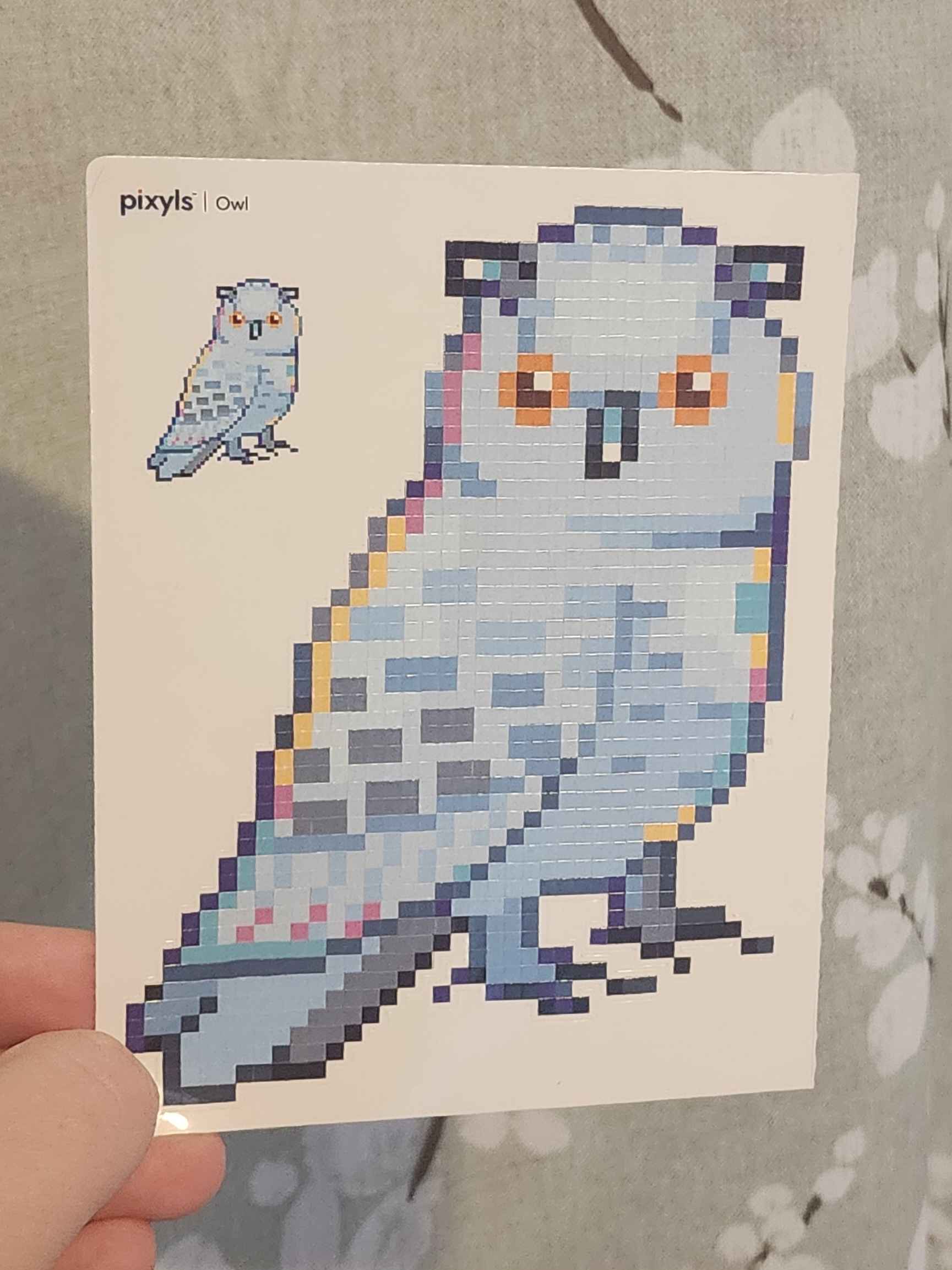 Owl Sticker