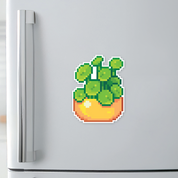 Money Plant Magnet