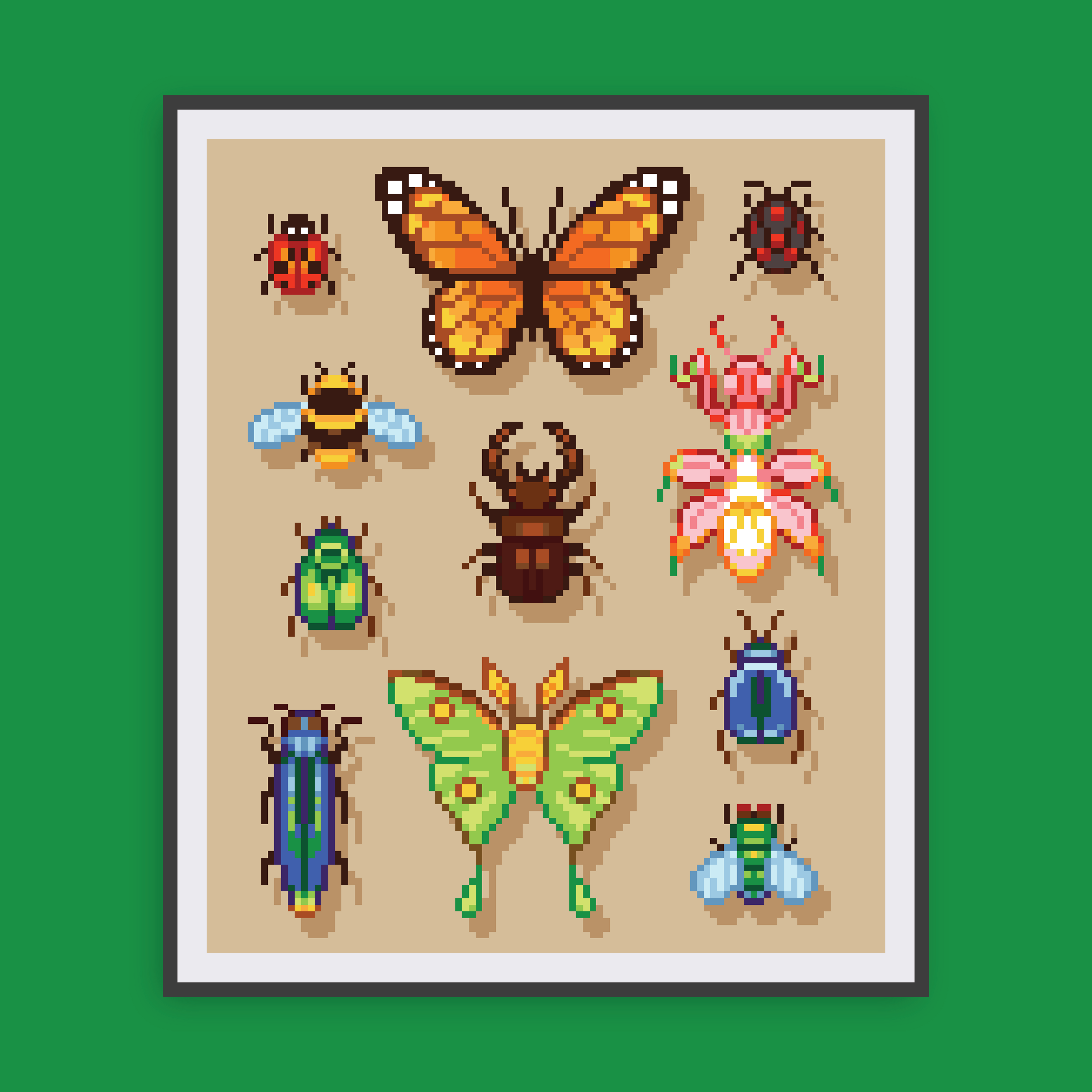 BugsCanvas-Mockup.png