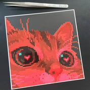 Lover Cat Canvas
