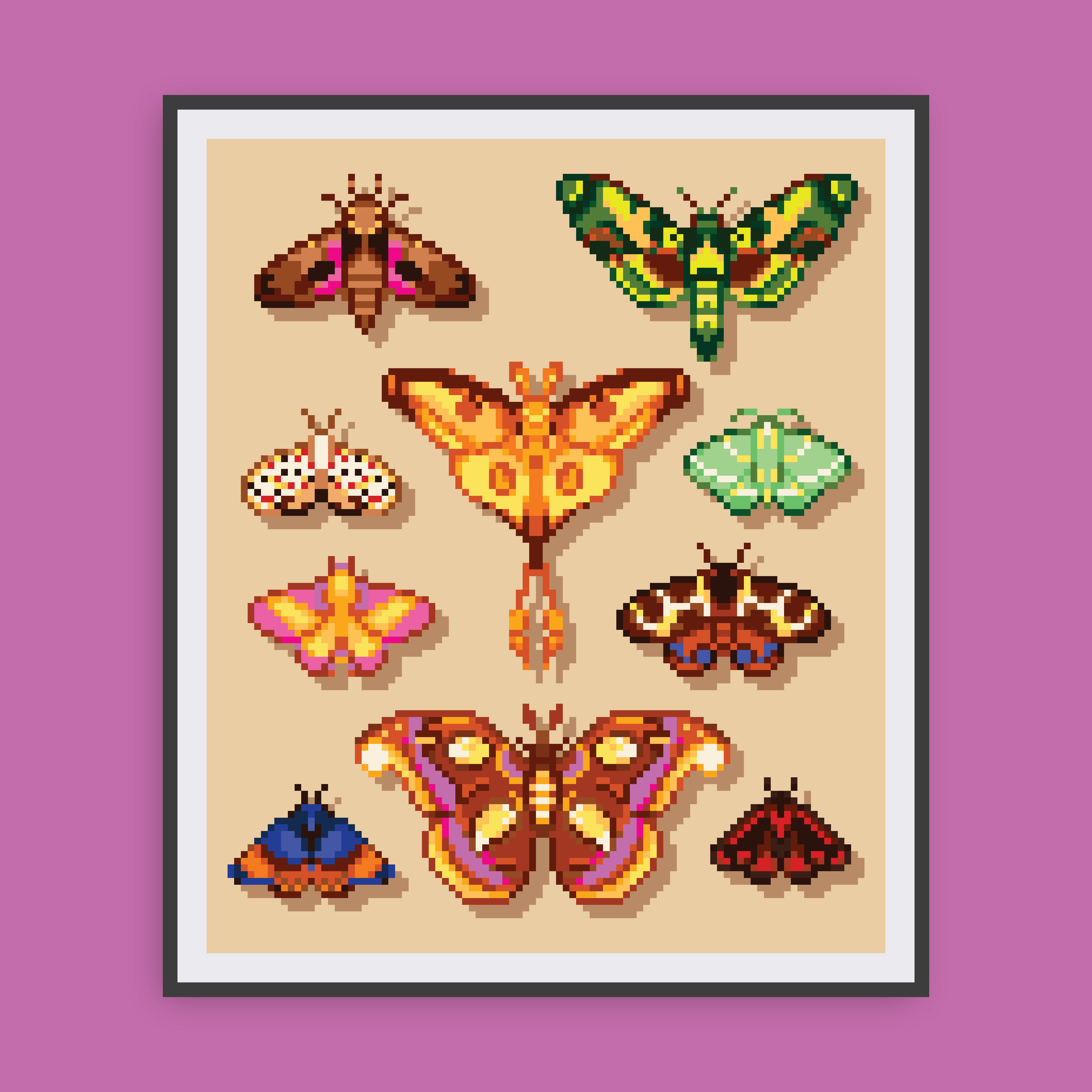 Moths Canvas