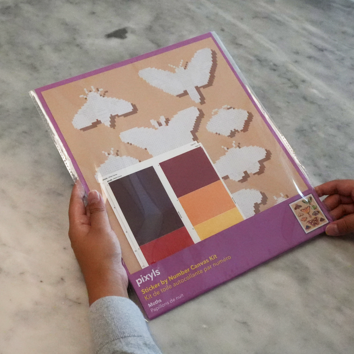 Moths Canvas