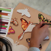 Moths Canvas