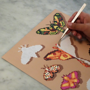 Moths Canvas