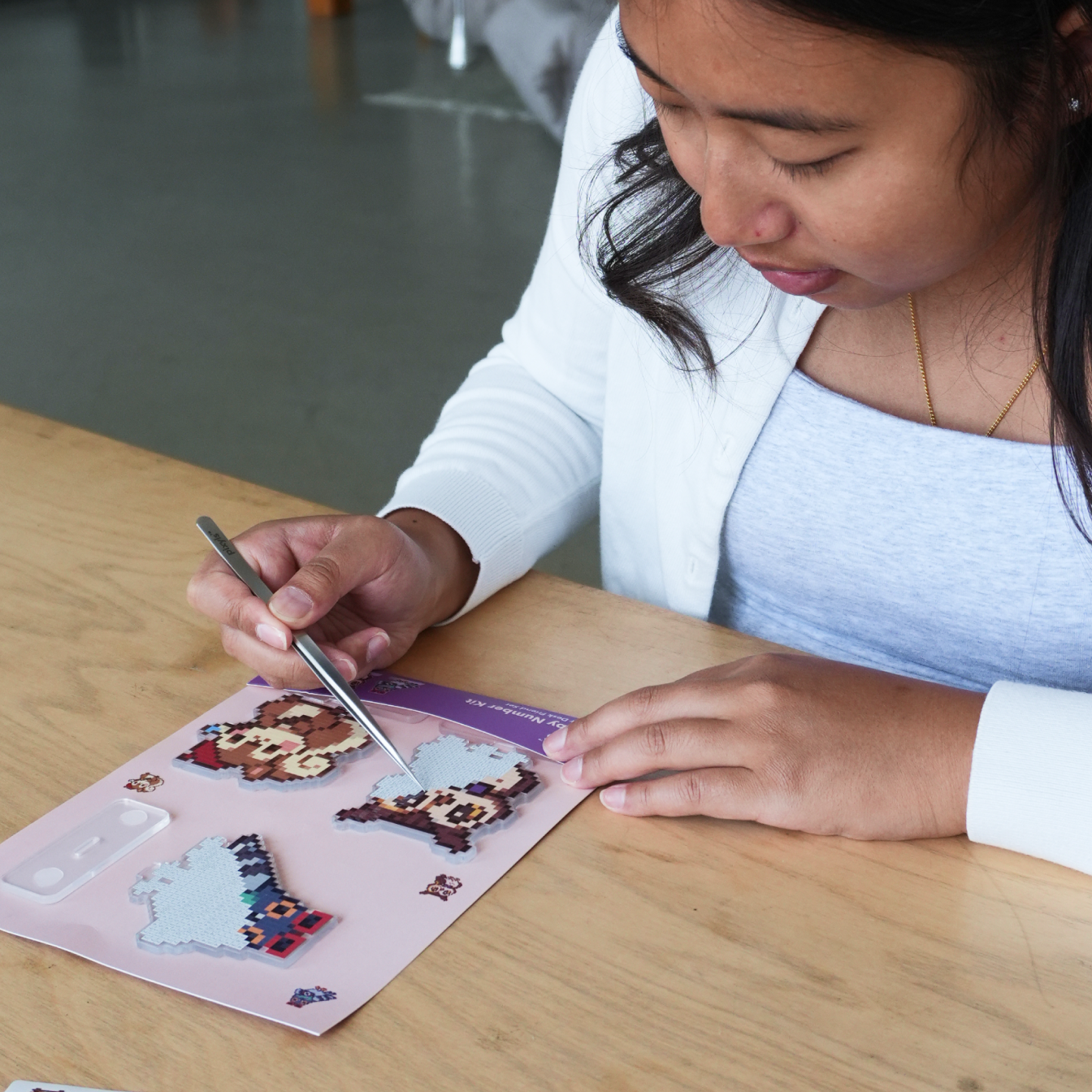 Museum Tour Desk Friend Set