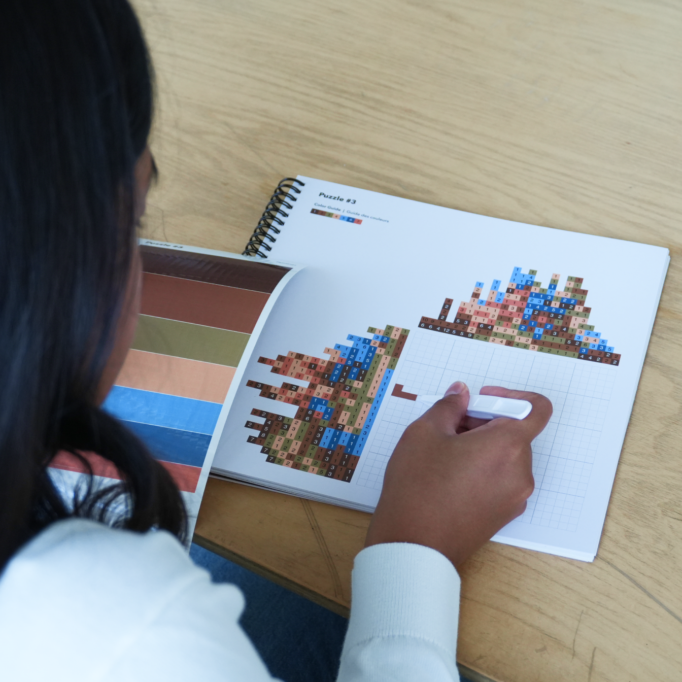 Painting Nonograms