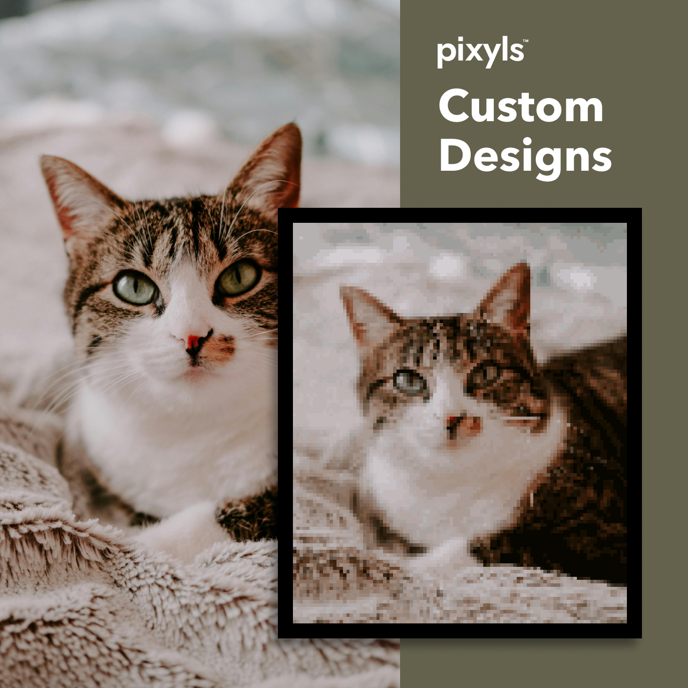 Custom Pixyls Canvas Kit