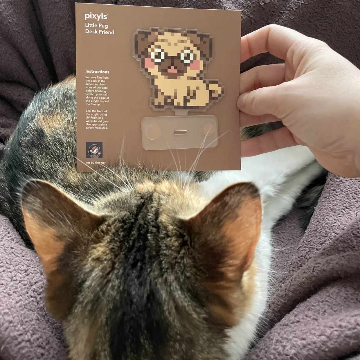 Cats & Dogs Desk Friends Blind Box