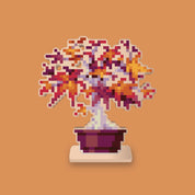 Maple Bonsai Desk Friend