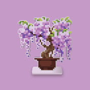Wisteria Bonsai Desk Friend